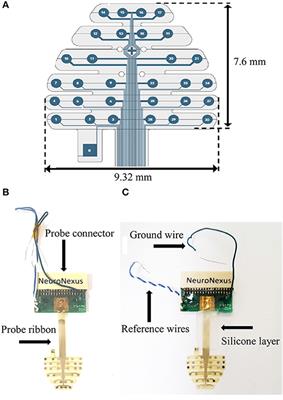 Reusable Multielectrode Array Technique for Electroencephalography in Awake Freely Moving Mice